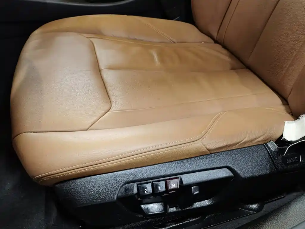 BMW 3 Series 2013 Facelift 320Li Luxury Design Package фото 20
