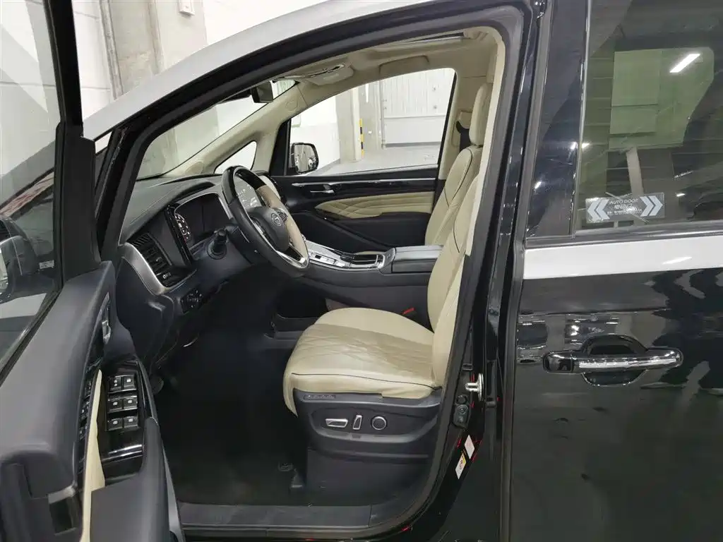 GAC Trumpchi Trumpchi M8 2021 Master Series 390T 4-Seat Premium Edition фото 10