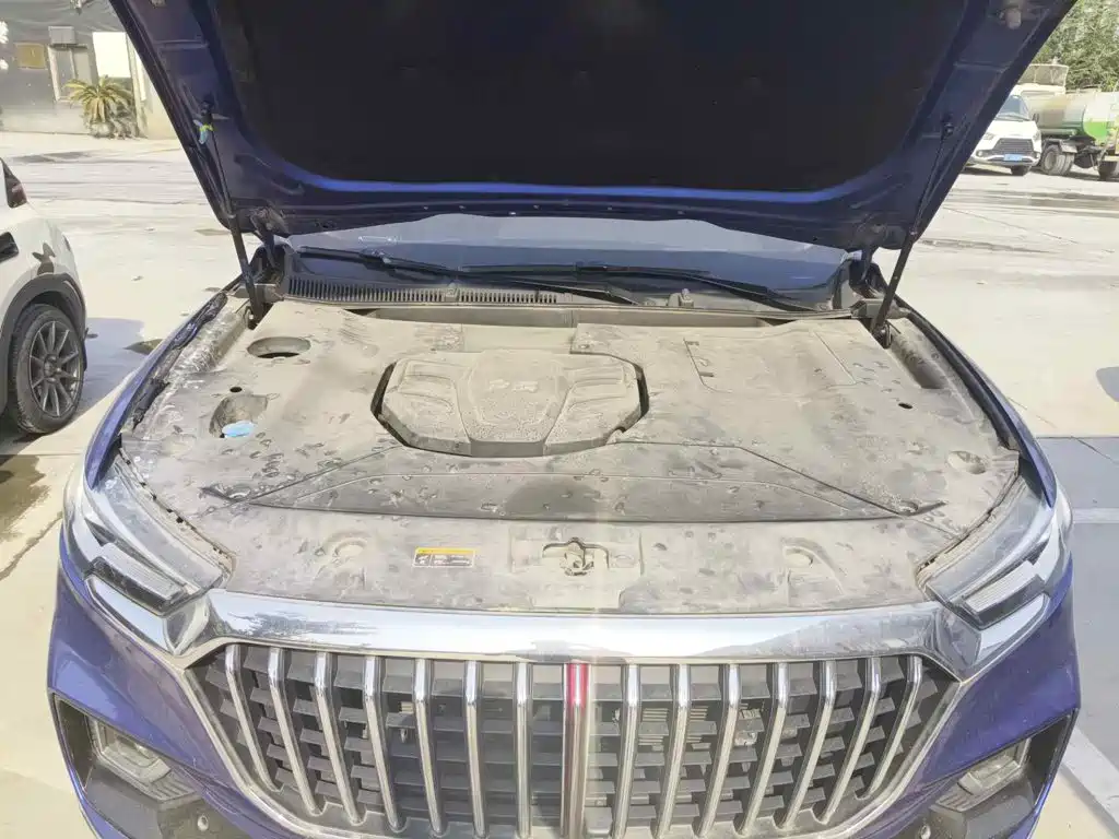 Hongqi HS5 2019 2019 2.0T Smart Connect Enjoy 4WD Edition