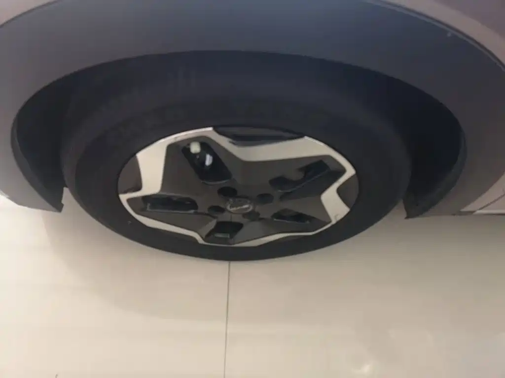 BYD Dolphin 2022 2021 Model 405km Fashion Edition