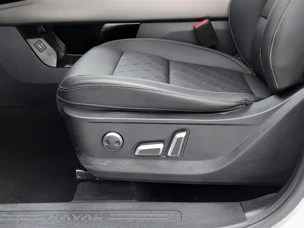 Haval Big Dog 2024 2.0T DCT Chinese Rural Dog Edition фото 20