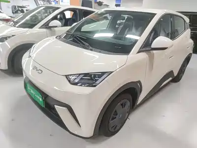 BYD Seagull
