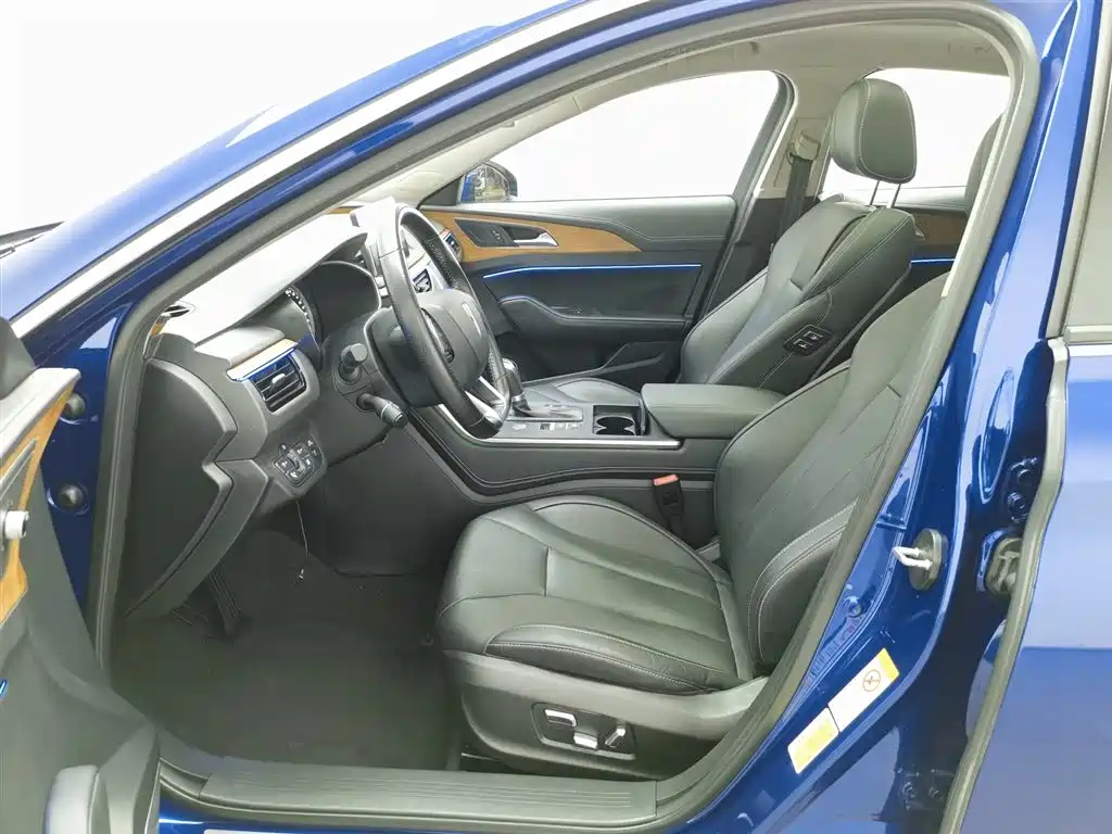 Hongqi H5 2019 30TD Smart Connect Enjoy Edition фото 10