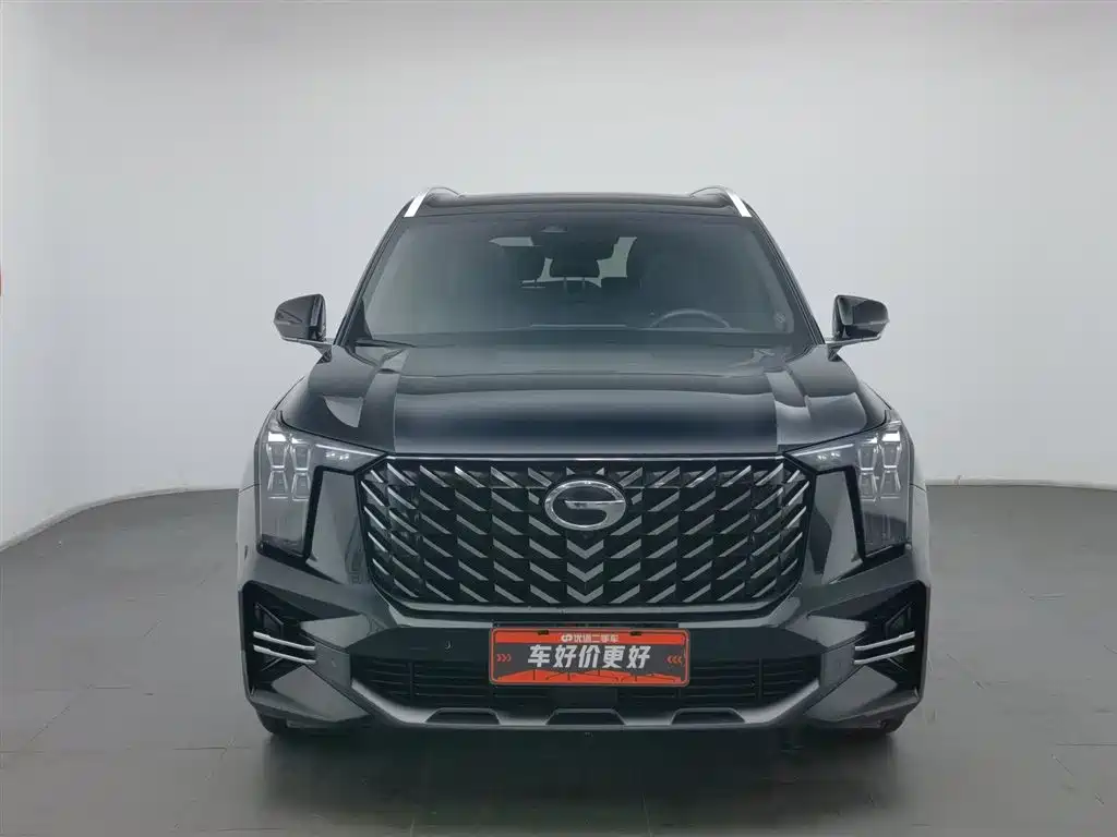 GAC Trumpchi Trumpchi GS8 2022 Pilot Series 2.0TGDI 2WD Premium Edition (7-Seater) фото 3