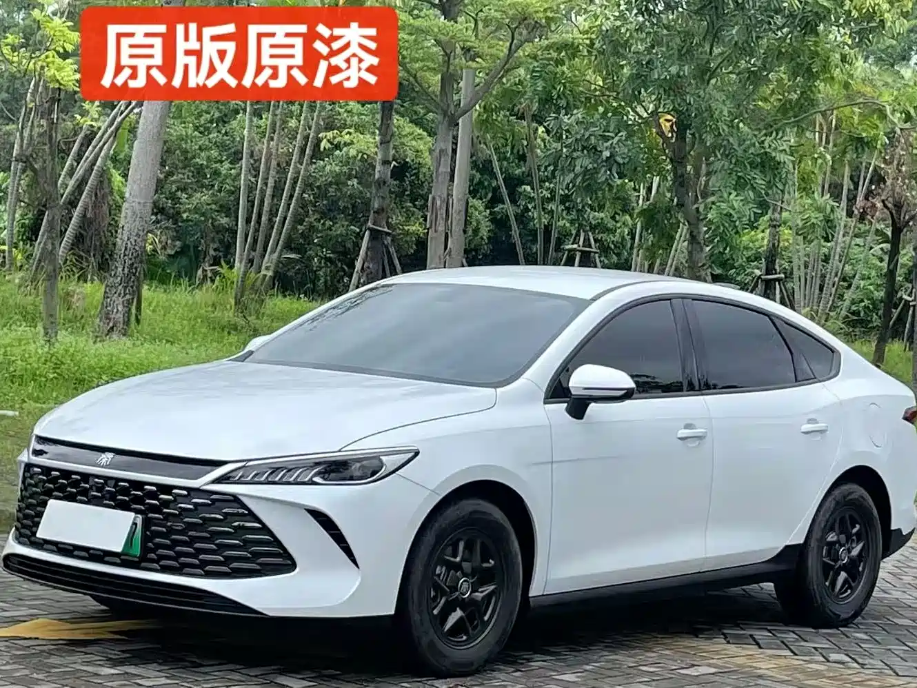BYD Qin PLUS 2025 2025 DM-i Smart Drive 55KM Leader