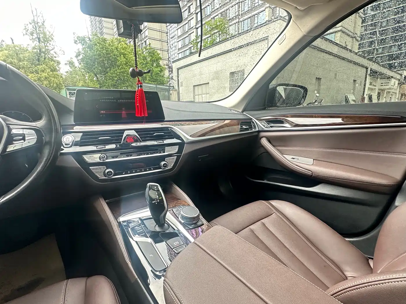 BMW 5 Series 2019 525Li Luxury Package фото 12