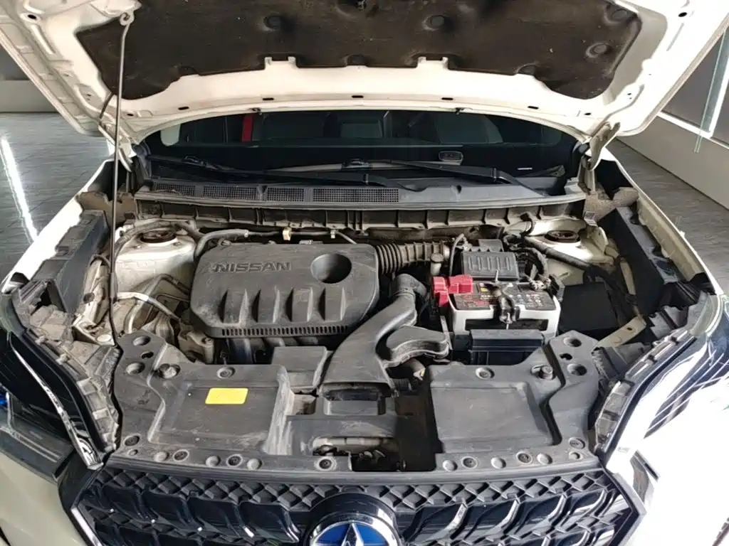 Venucia T60 2020 2020 Model 1.6L Manual Zhiguan Edition China VI
