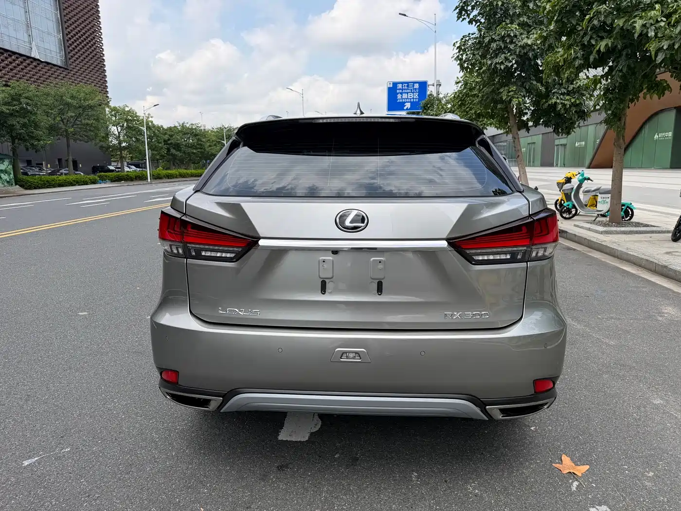 Фото 12 - Lexus RX