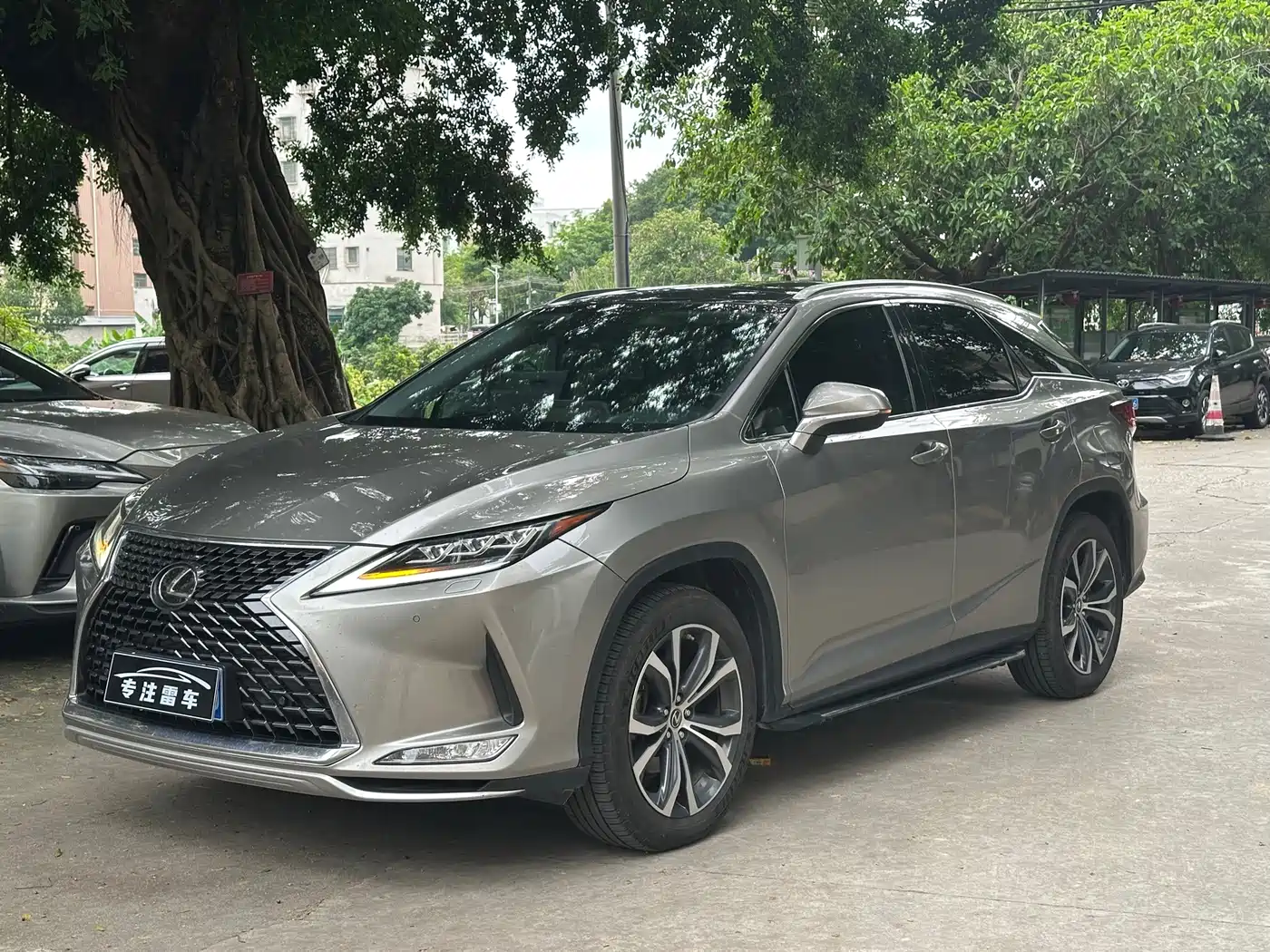 Lexus RX 2020 300 4WD Elegance Edition China VI