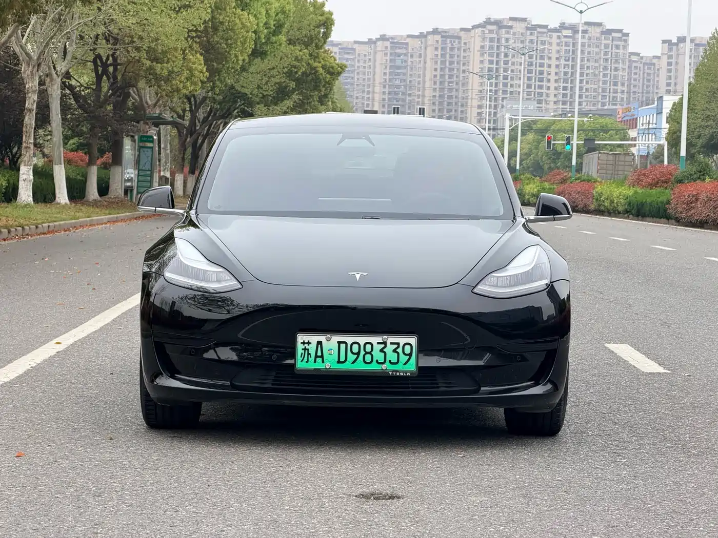 TESLA MODEL 3