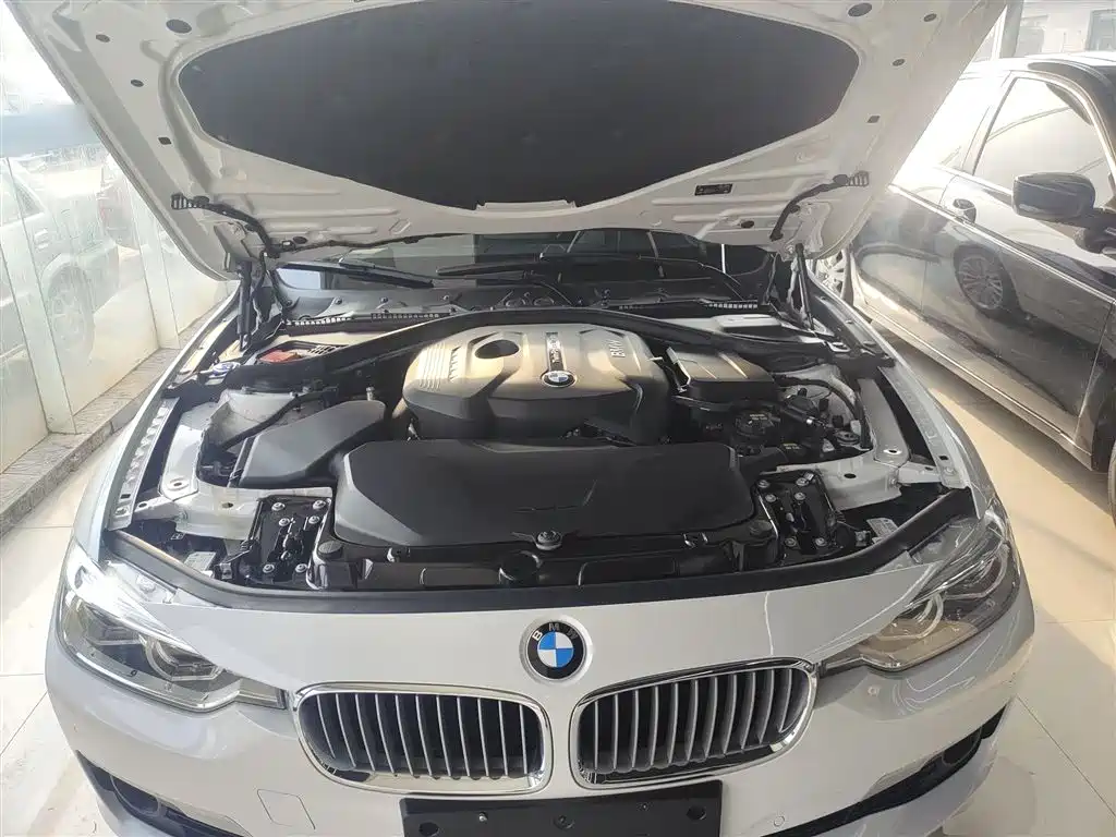 BMW 3 Series 2018 320Li Fashion Style фото 13