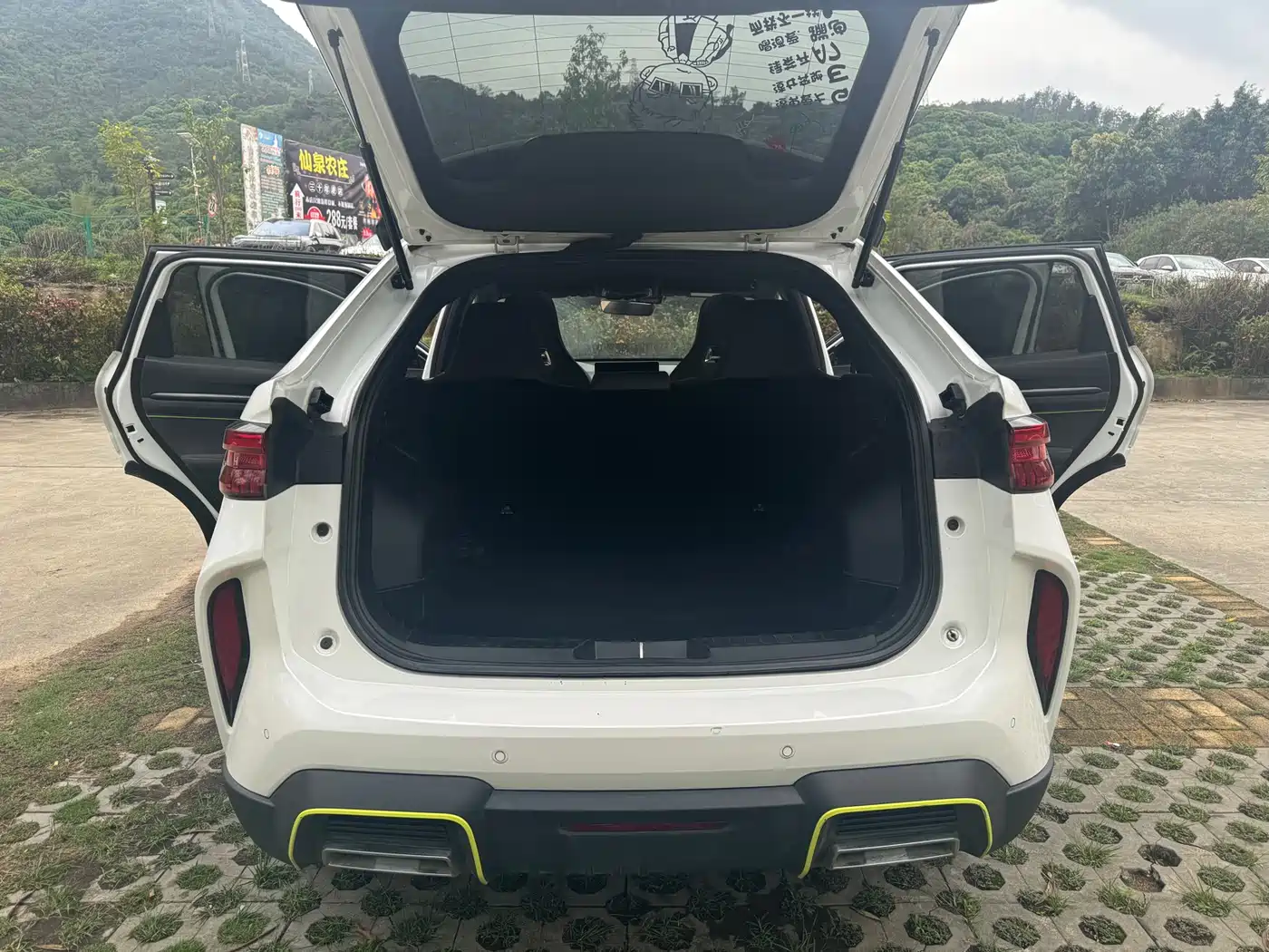 HAVAL H6S