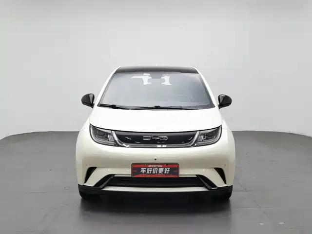 BYD Dolphin 2023 420km Fashion Edition — фото 3