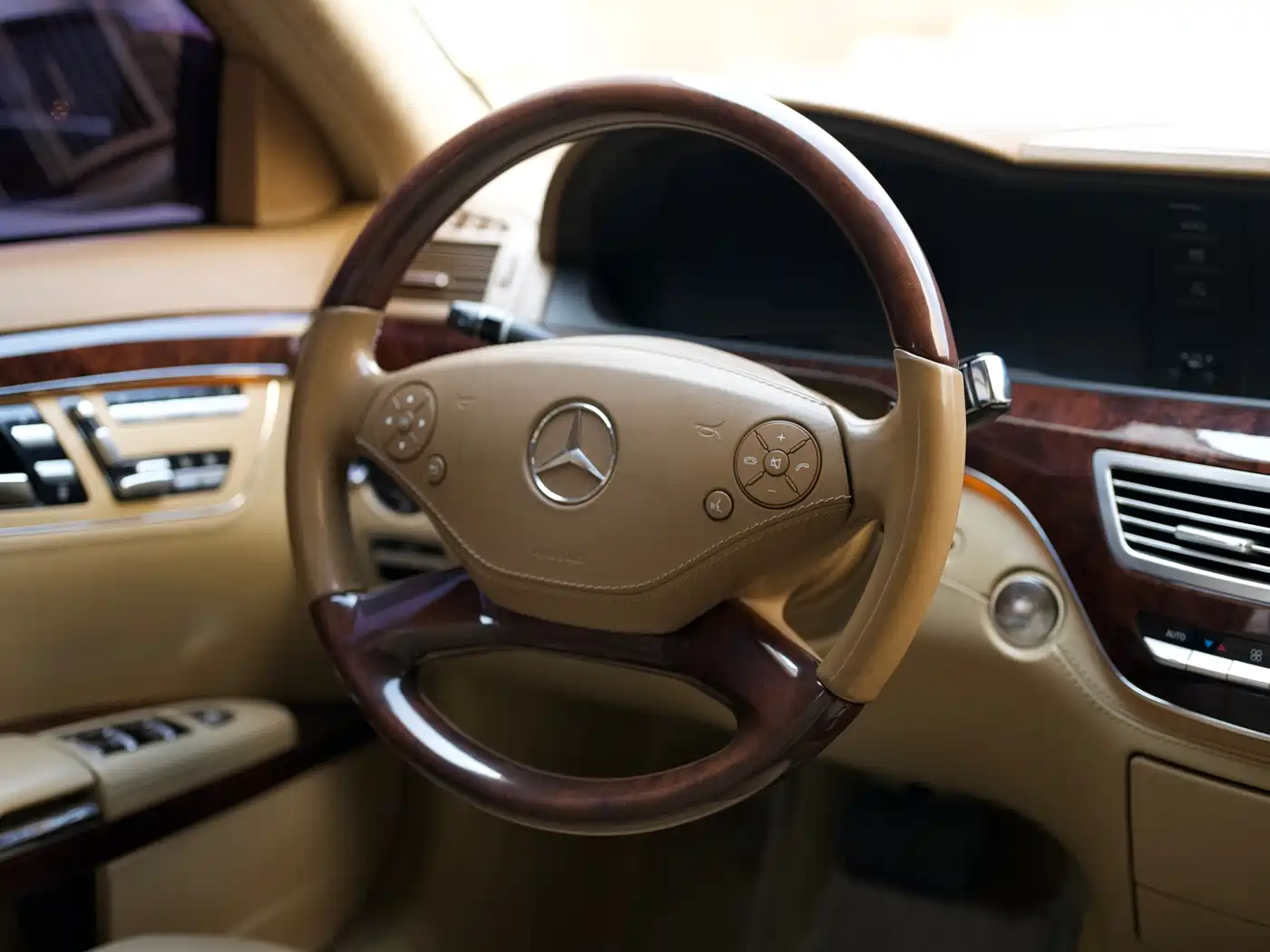 Mercedes-Benz S-Class 2010 S 600 L фото 10