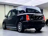 Фото 6 - LEVC TX