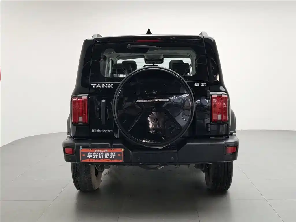 Tank 300 2021 Off-road Version 2.0T Conqueror фото 4