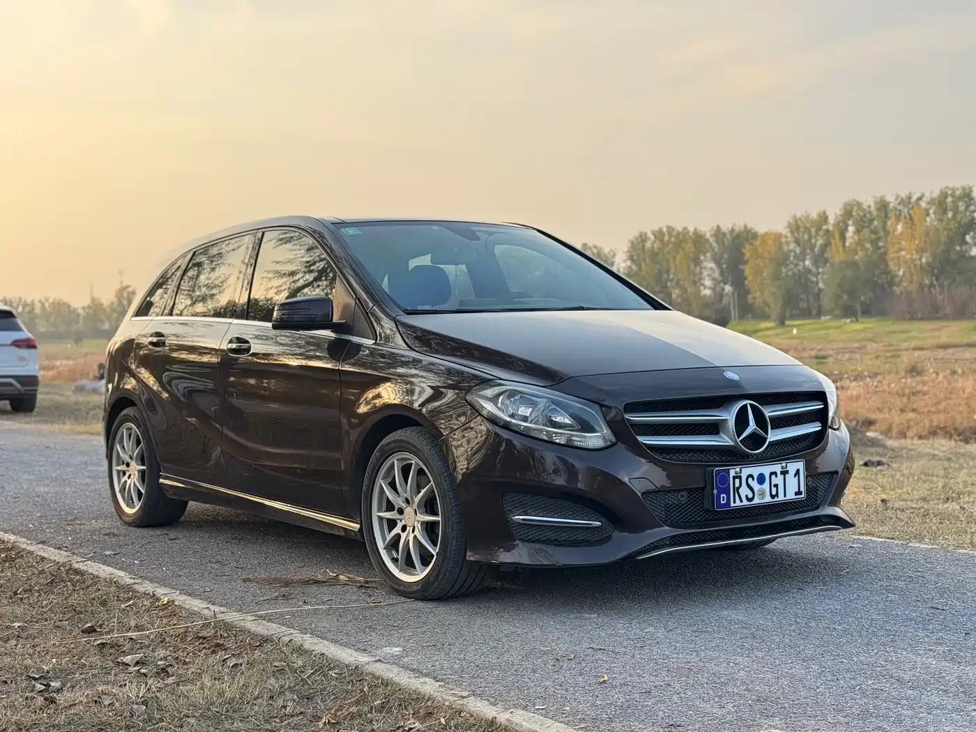 Mercedes-Benz B-Class 2015 B 200 Dynamic