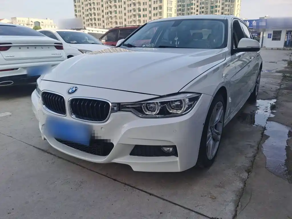 BMW 3 Series 2019 320Li M Sport Package