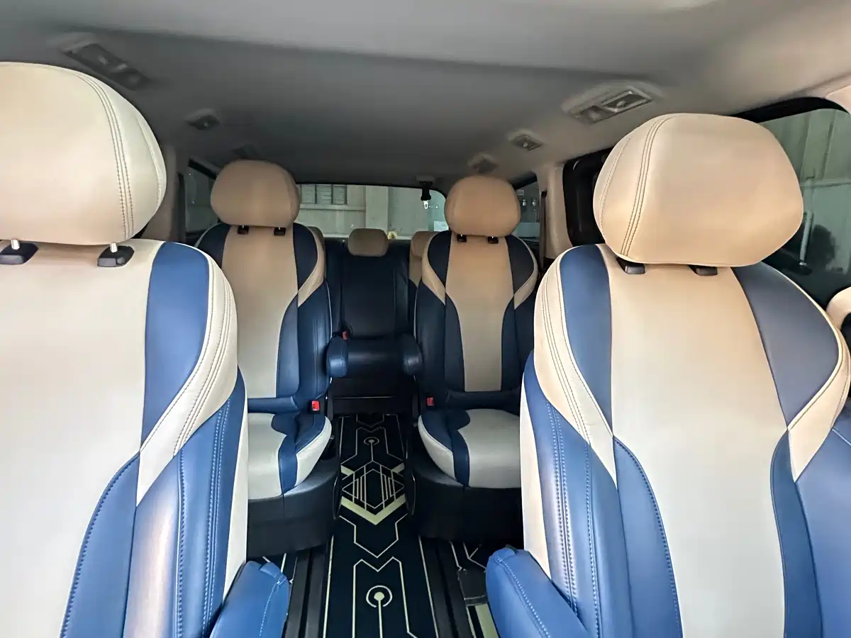 SAIC MAXUS CHASE G20