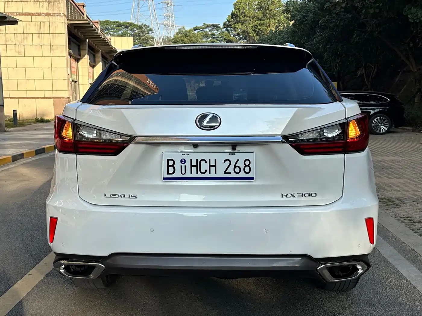 Lexus RX 2016 300 2WD Elite Edition (China V) фото 4