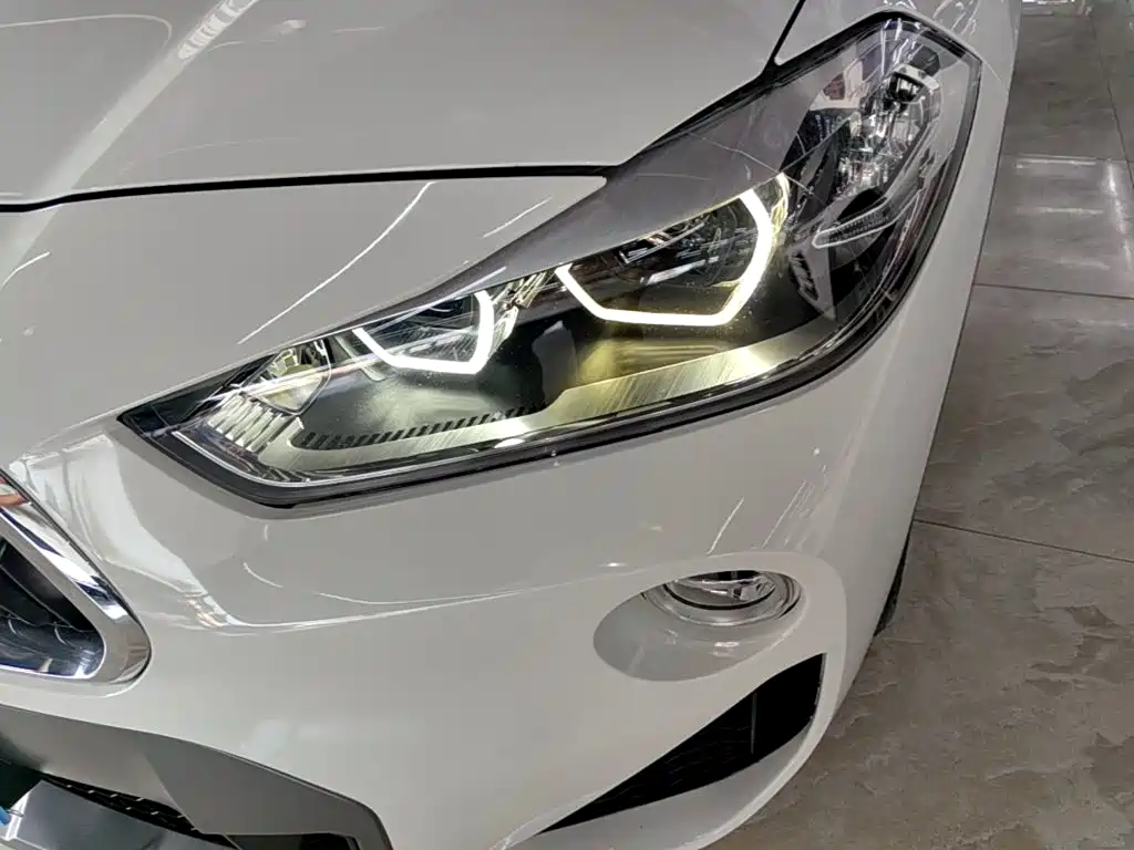 BMW X2 (Import) 2019 2019 sDrive20i M Off-Road Package China VI