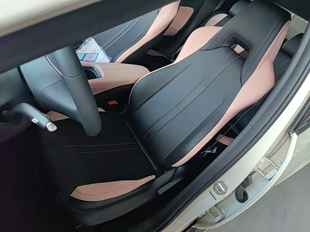 BYD Seagull 2026 2025 Smart Drive Edition 305km Vitality Version