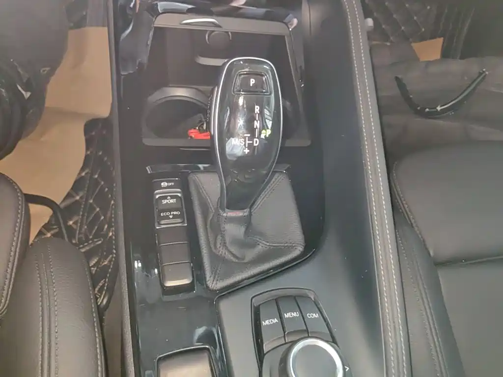 BMW X2 (Import) 2019 2019 sDrive20i M Off-Road Package China VI