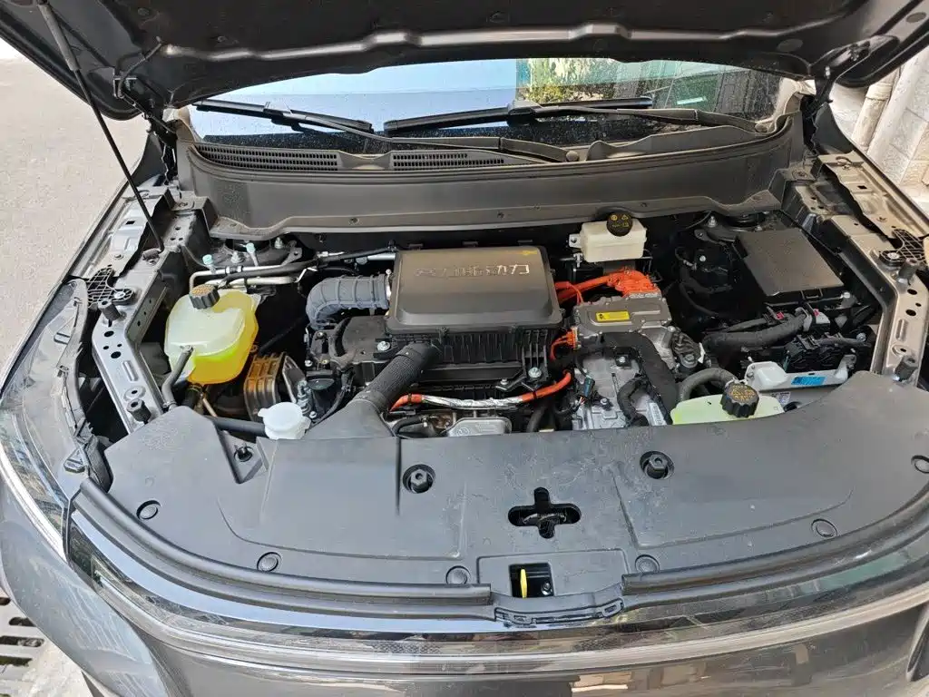 Landian E5 PLUS 2025 2025 165km Long Range 5-seater