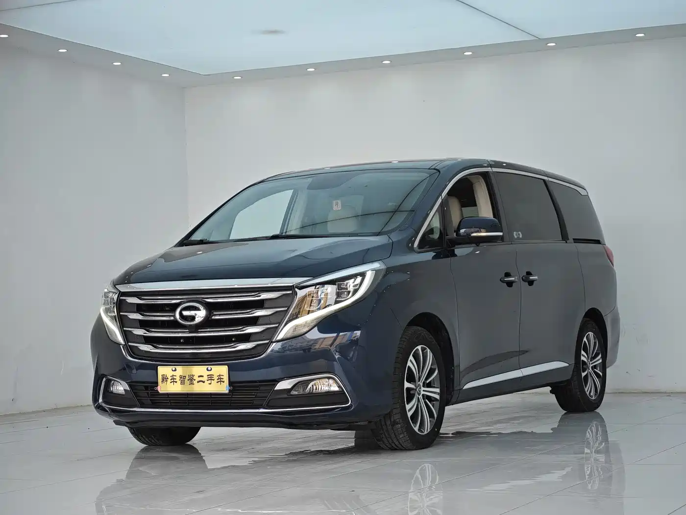 GAC Trumpchi Trumpchi M8 2018 320T Premium Edition