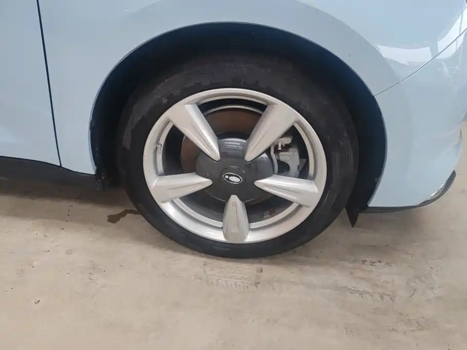 Ora Good Cat 2021 2021 400km Standard Range Venus Edition (LFP)