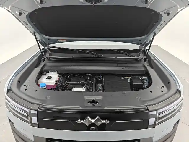 Fang Cheng Bao Titanium 7 2025 2025 200KM Front-Wheel Drive Max Edition