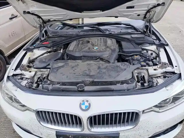 BMW 3 Series 2018 320Li Fashion Style — фото 3