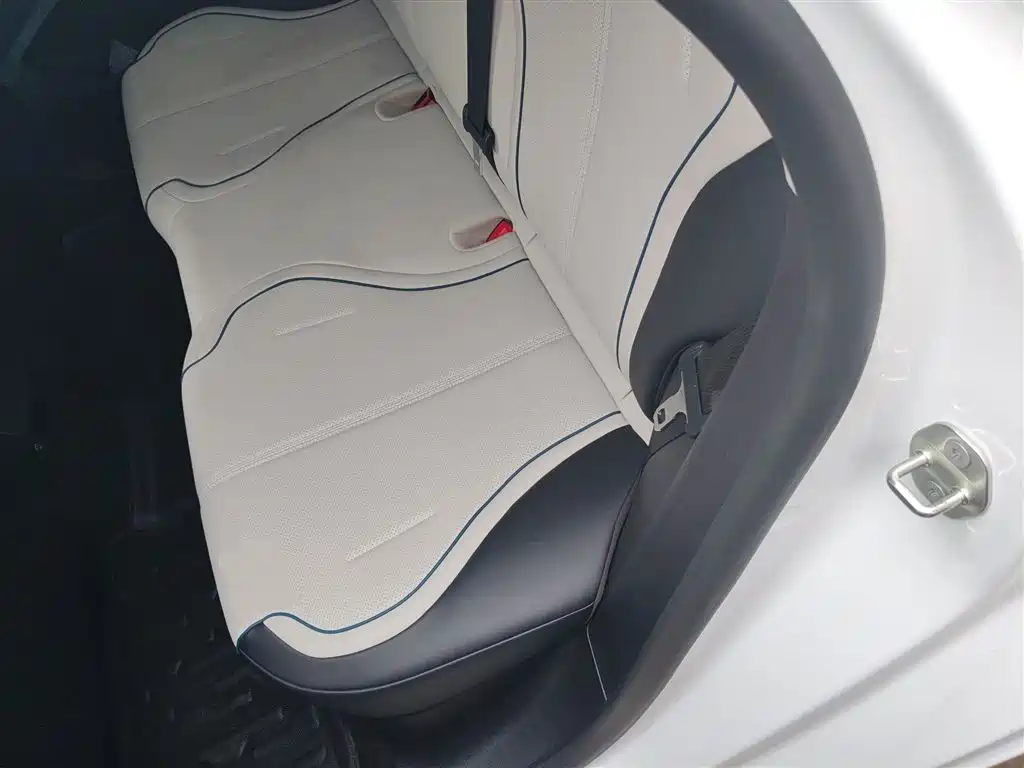 BYD Destroyer 05 2024 Glory Edition DM-i 55KM Luxury фото 17