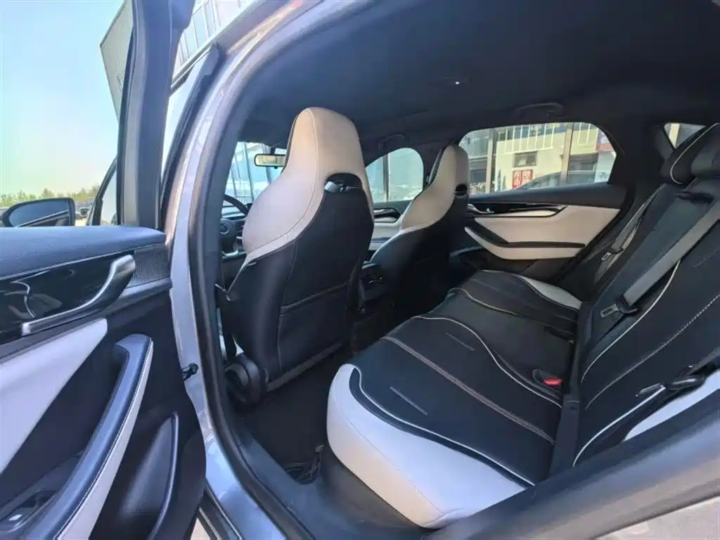 BYD Qin PLUS 2021 DM-i 120KM Premium фото 6