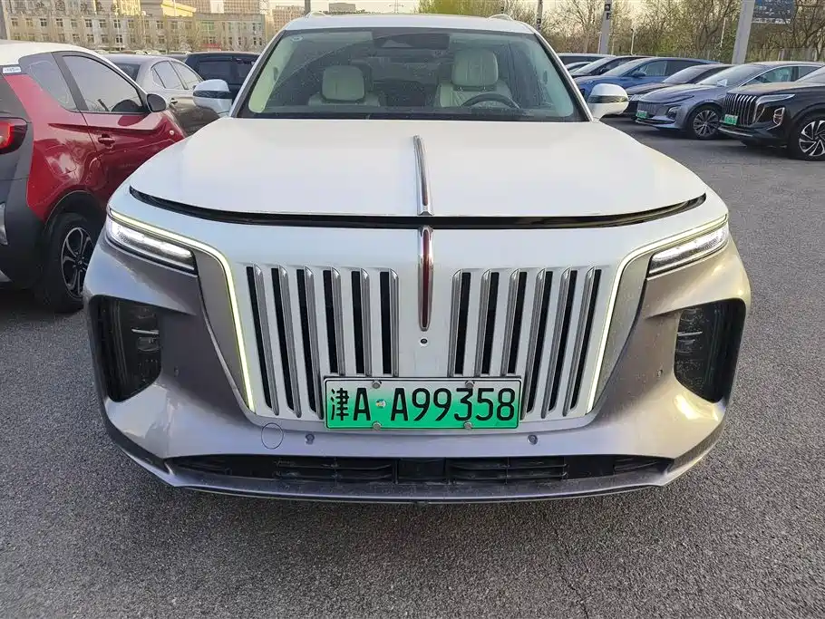 Hongqi HONGQI E HS9