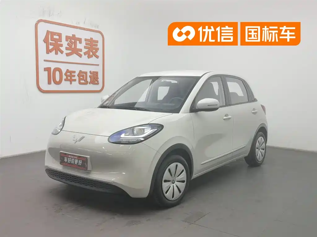 Wuling Motors Wuling Bingo 2023 Model 203km Lite Enjoyment Edition