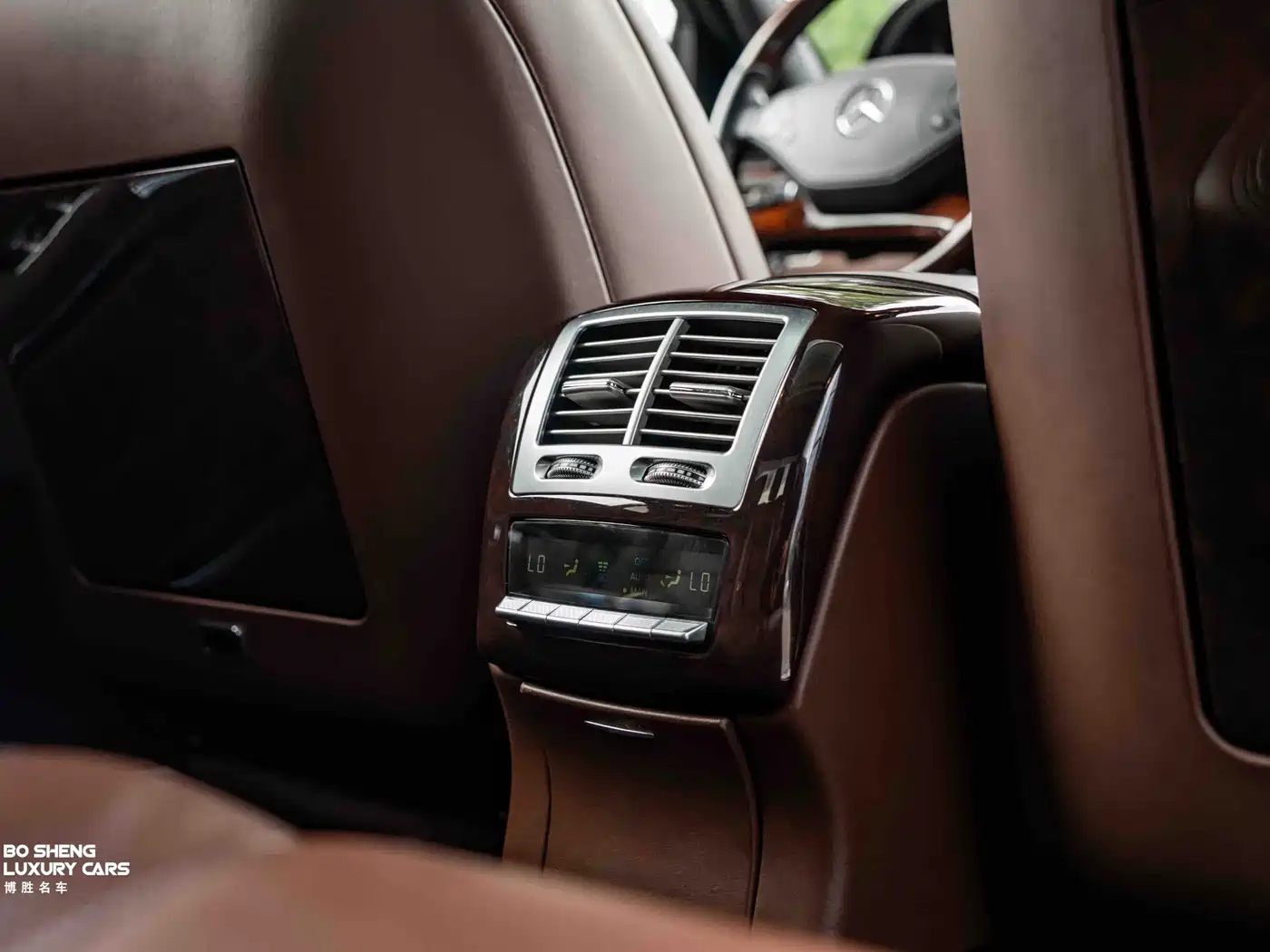Mercedes-Benz S-Class 2010 S 600 L фото 24