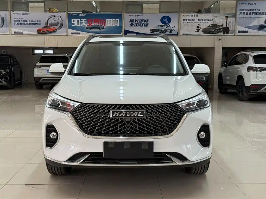 HAVAL M6