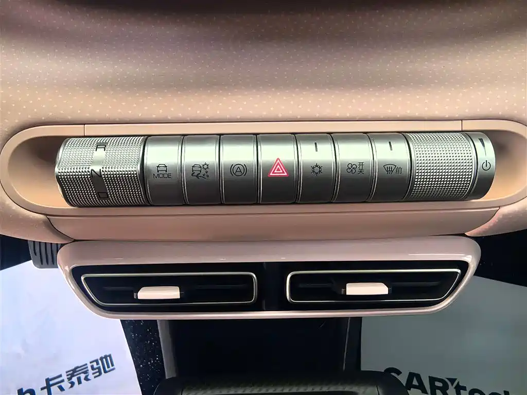 BYD Seagull 2023 Freedom Edition фото 12