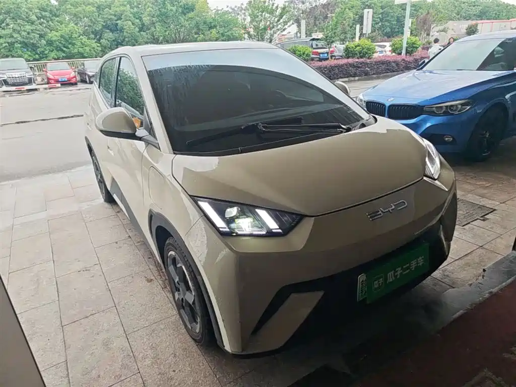 BYD Seagull 2023 Vitality Edition фото 4