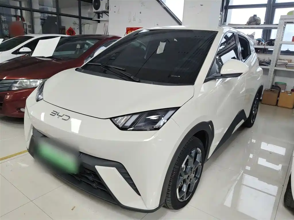 BYD Seagull 2025 305km Freedom