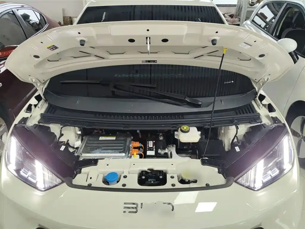 BYD Seagull 2025 305km Freedom фото 16