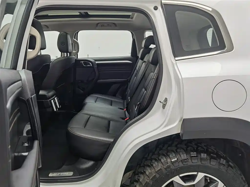 Haval Big Dog 2021 2.0T DCT AWD Howling Celestial Dog Edition фото 15