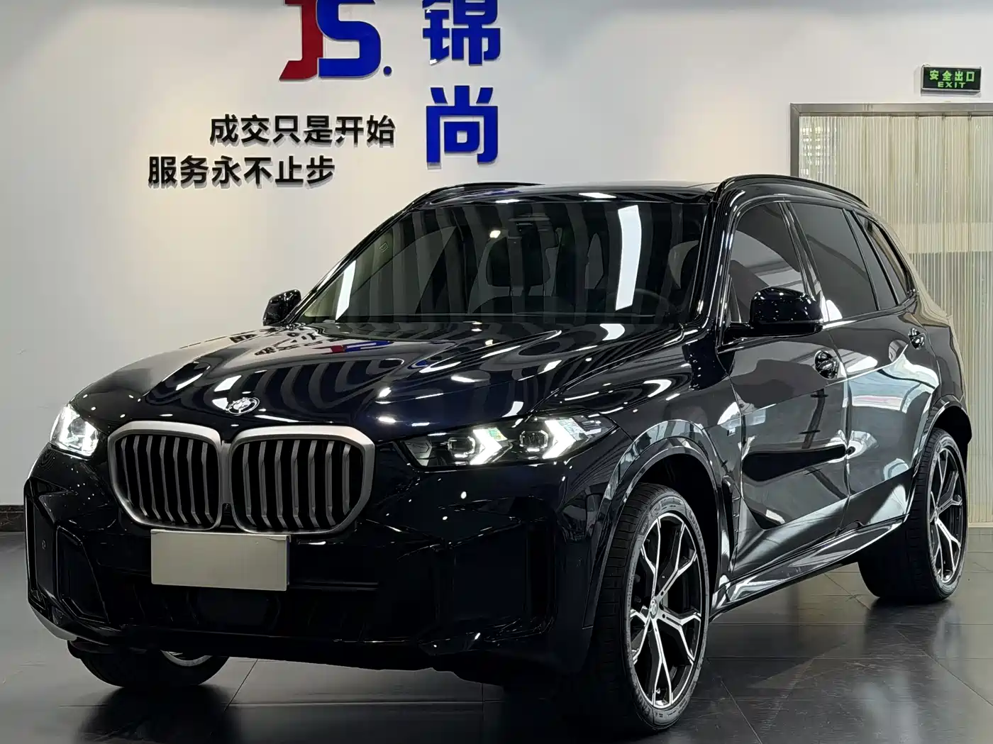 BMW X5 2023 xDrive 30Li Premium M Sport Black Night Package