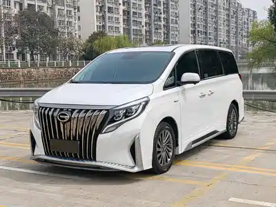 Trumpchi M8