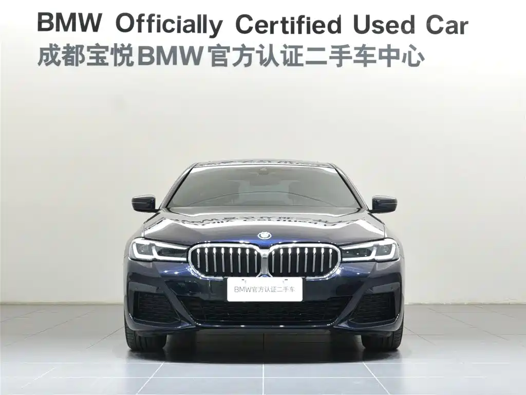 BMW 5 SERIES NEW ENERGY