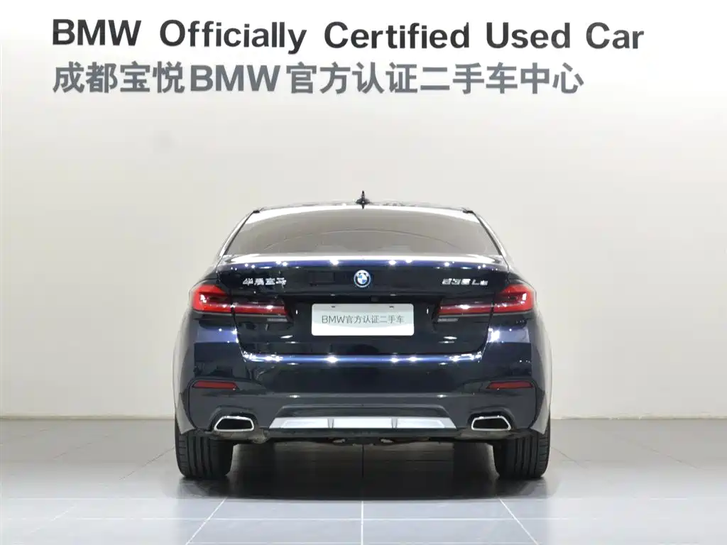 BMW 5 SERIES NEW ENERGY