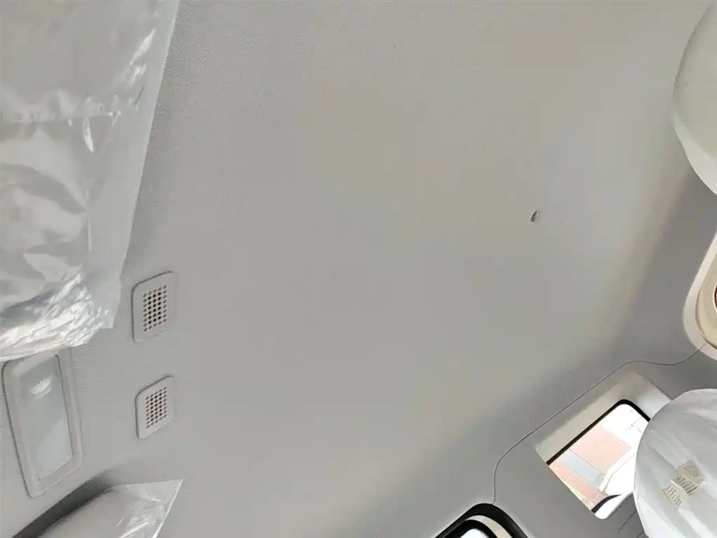 Geely Galaxy Panda 2025 Panda mini 210km Vitality Bear фото 18