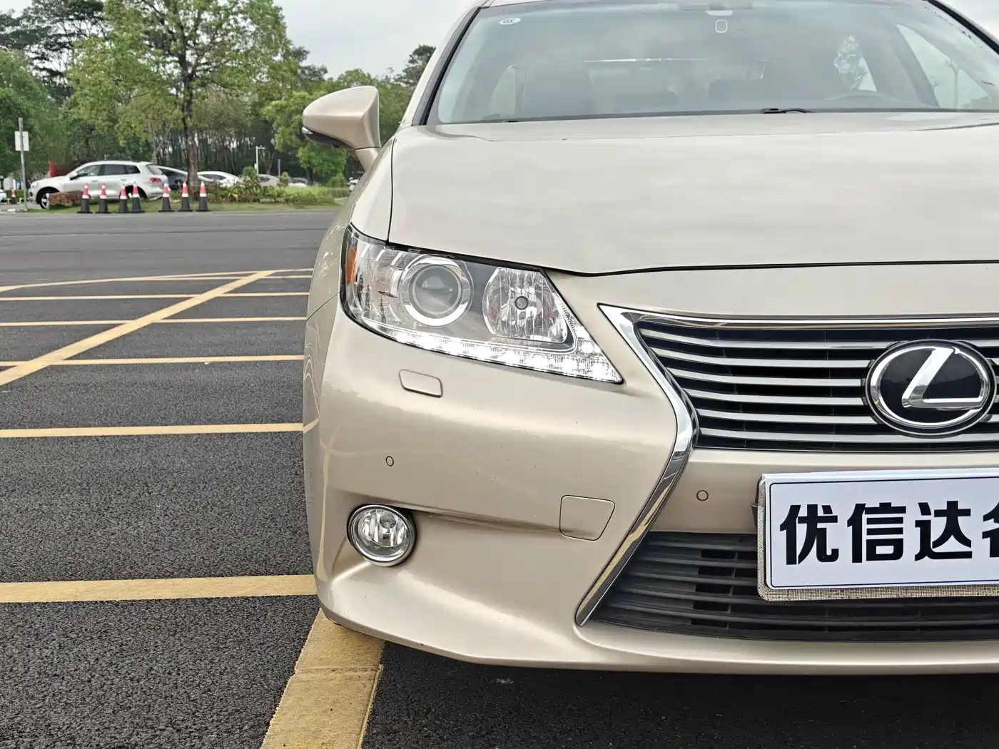 Lexus ES 2013 250 Elegance Edition фото 15