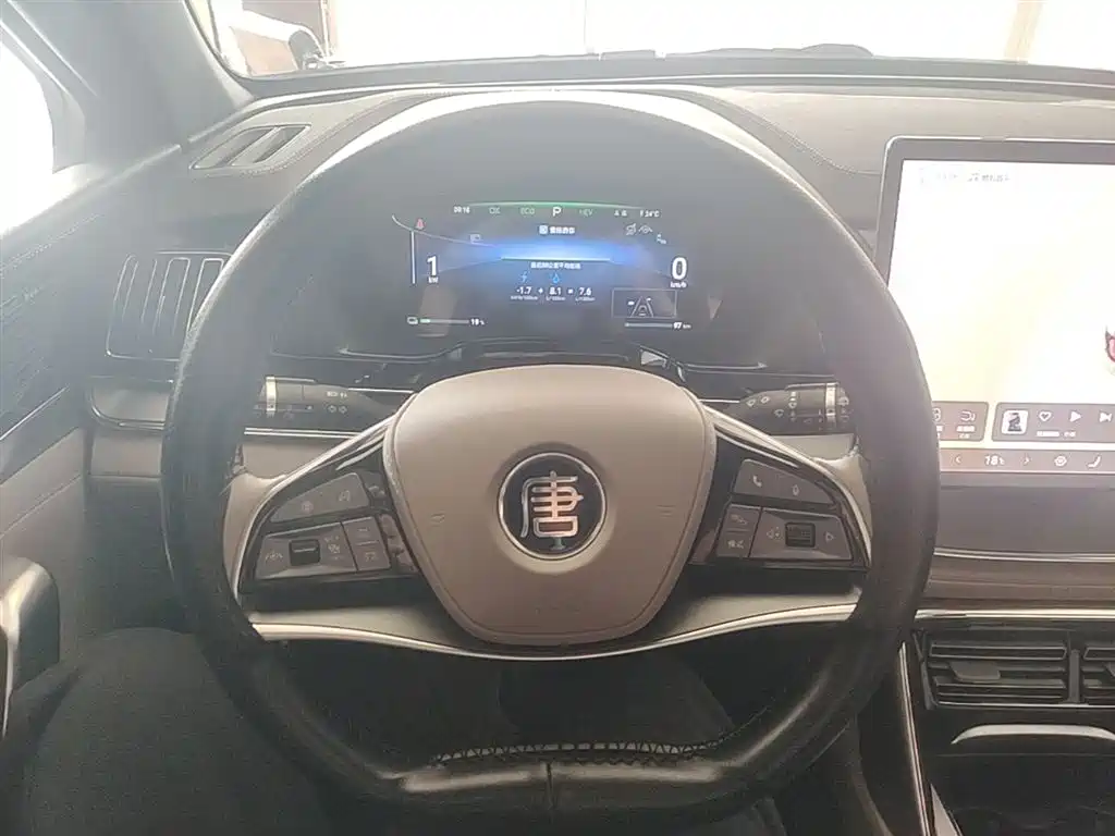 BYD Tang New Energy 2024 DM-i Honor Edition 112KM Premium фото 11